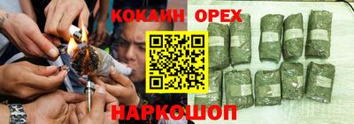 МДПВ Кингисепп