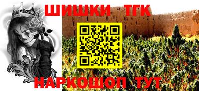 МДПВ Кингисепп