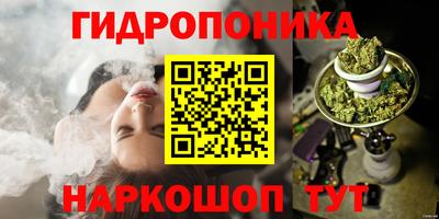МДПВ Кингисепп