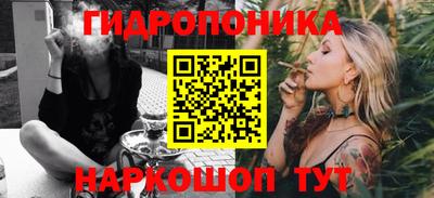 МДПВ Кингисепп