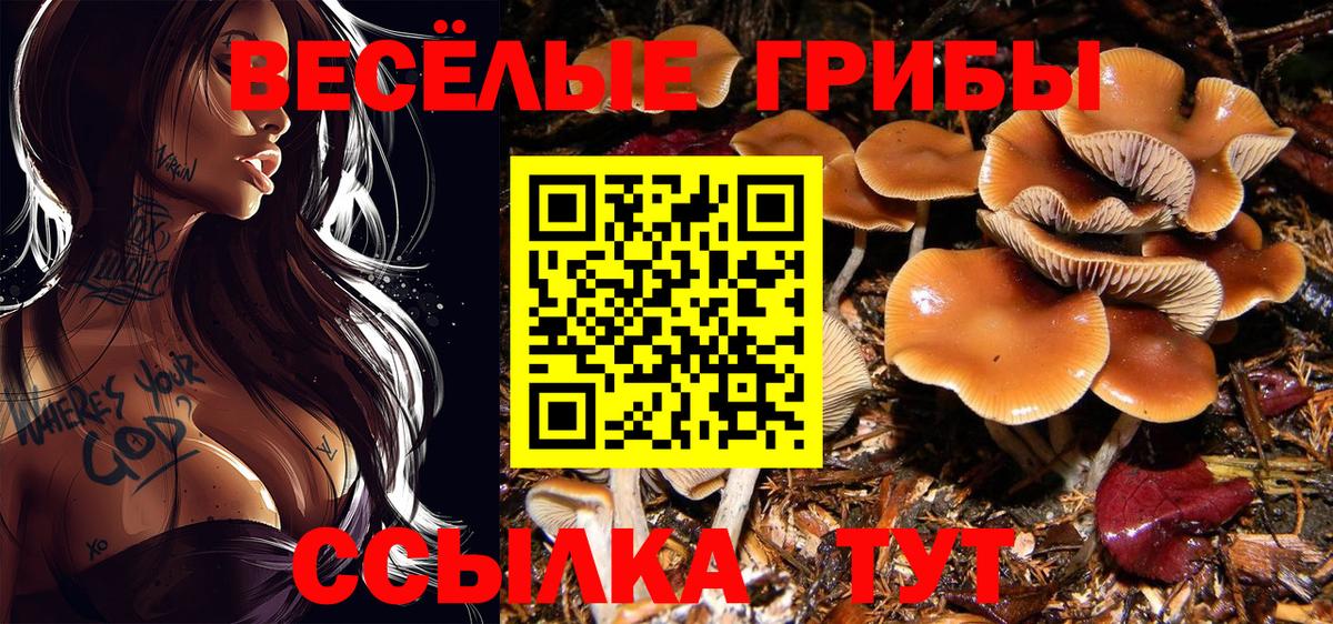 Псилоцибиновые грибы прущие грибы  Вход с VPN  Азов  как найти наркотики  Галлюциногенные грибы прущие грибы 